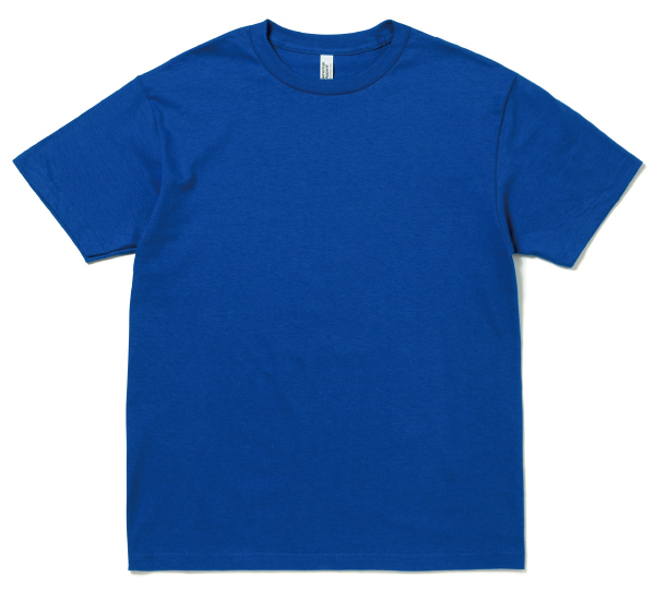 39S ロイヤルブルー